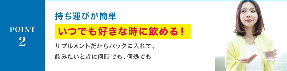 POINT2 持ち運びが簡単