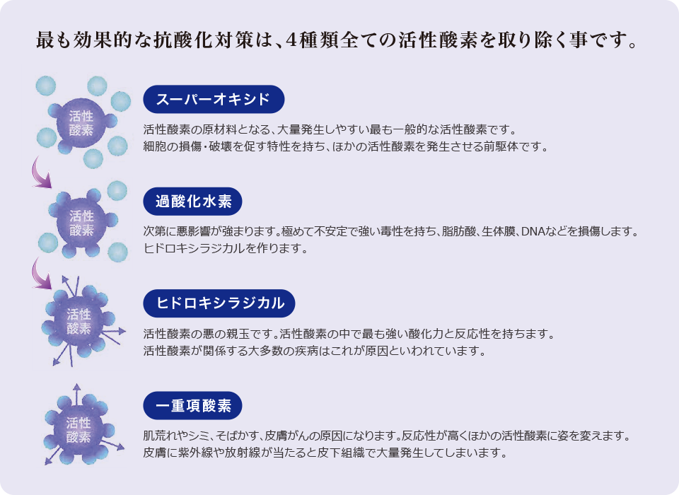 4種類の活性酸素 4種類の活性酸素