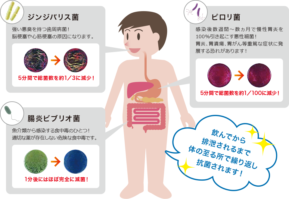 白金パラジウムナノコロイド 抗菌力検証結果の一例 白金パラジウムナノコロイド 抗菌力検証結果の一例